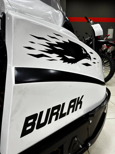 photo_5341465533016116919_y