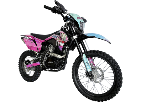 bse_z1_harley_2