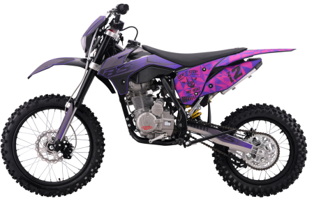 bse_z2l_purple_1916_4