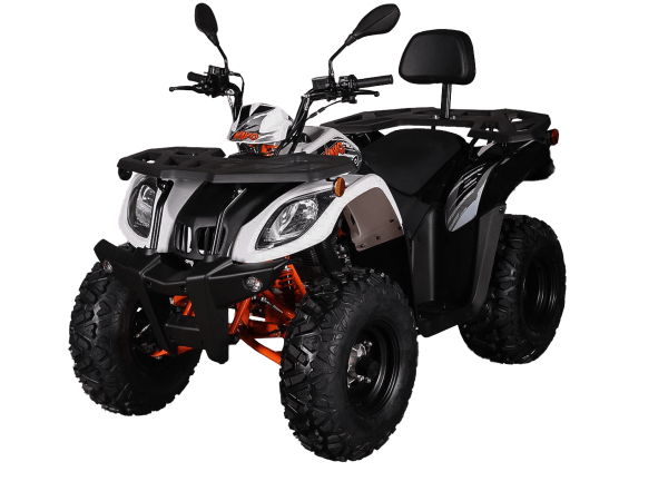 rkzmzxsiwlennihj1f1yn3i6bdfu93m8