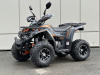 Квадроцикл Tao Shark 150cc (Серый)