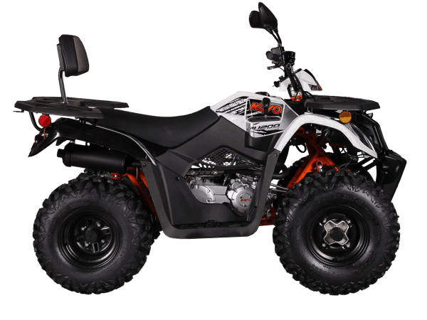 cjij4ky31x4yfb1mjvcwbfn11v9u7175