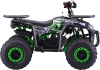Квадроцикл BSE XT-1U  (Green)