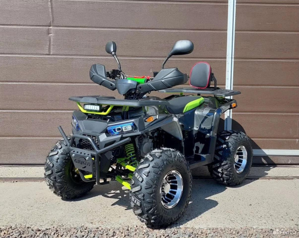 kvadrocikl-grizzly-aerox-new-125_foto_largest